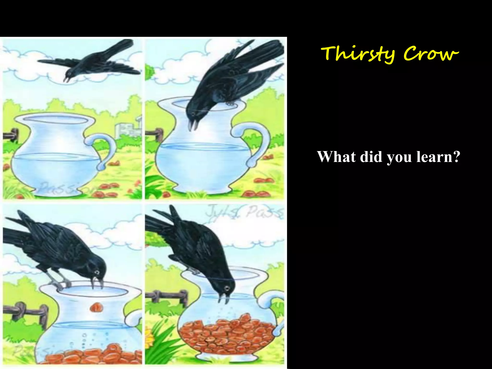 Thirsty Crow
What did you learn?
 