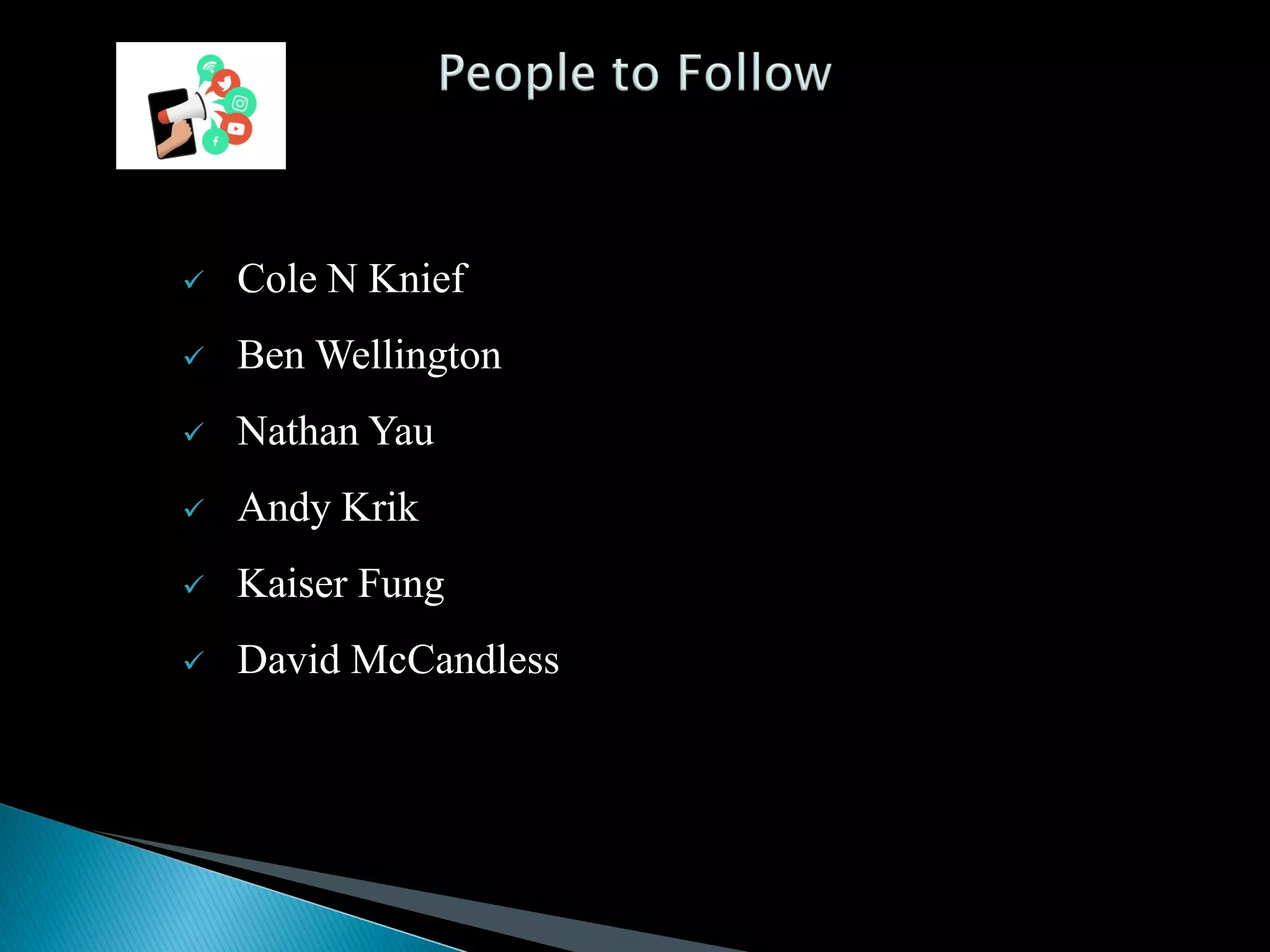  Cole N Knief
 Ben Wellington
 Nathan Yau
 Andy Krik
 Kaiser Fung
 David McCandless
 