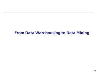 105
From Data Warehousing to Data Mining
 