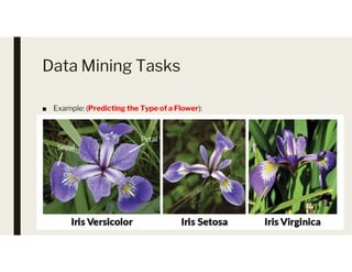 Data Mining Tasks
■ Example: (Predicting the Type of a Flower):
 