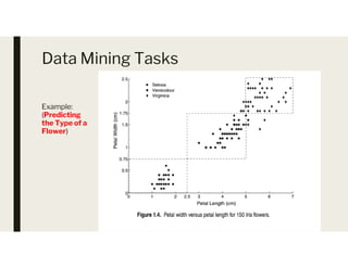 Data Mining Tasks
Example:
(Predicting
the Type of a
Flower)
Flower)
 