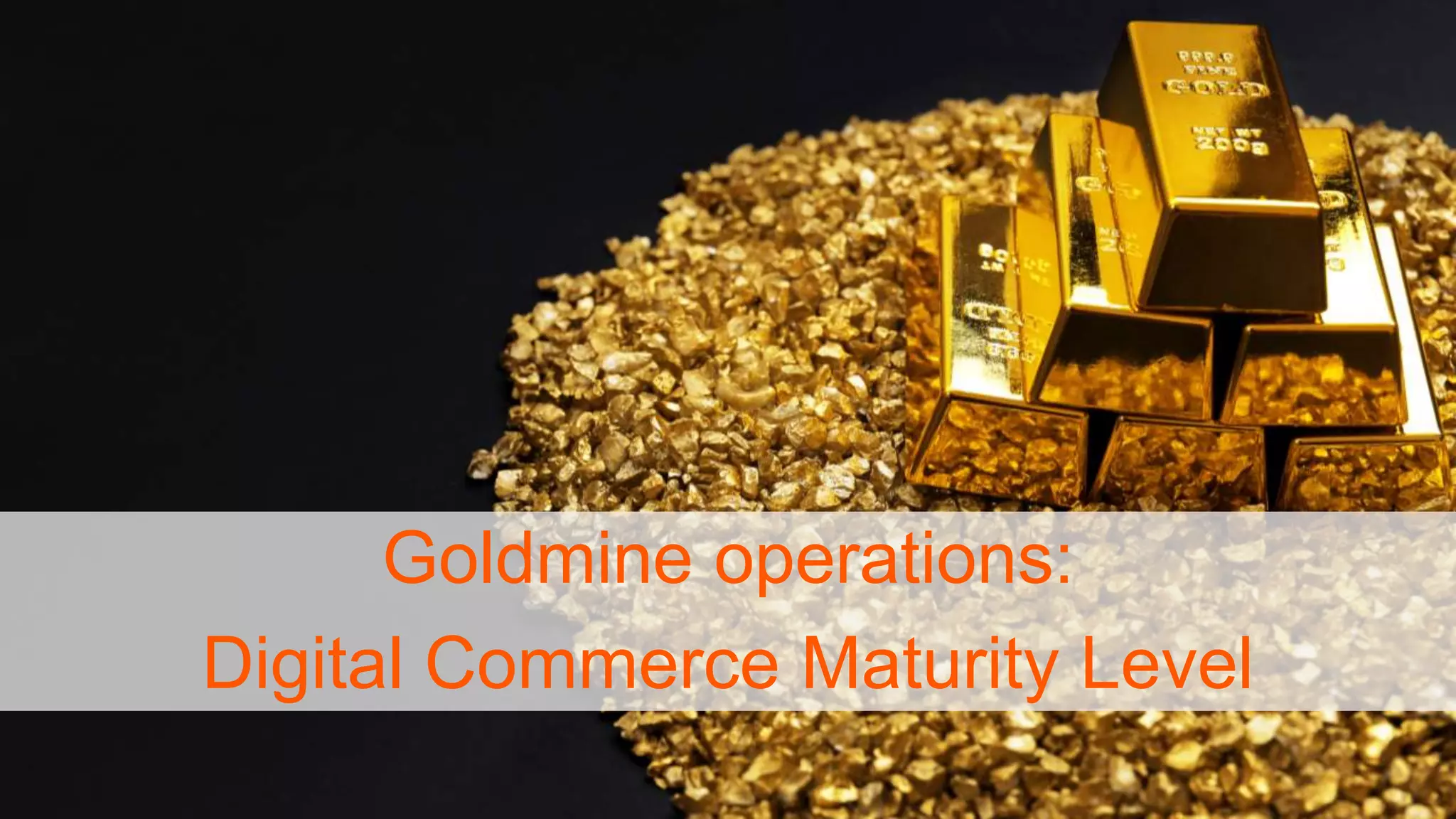 diconium | Fast track to digital leadership
Goldmine operations:
Digital Commerce Maturity Level
 