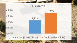 1,12%
1,73%
0,00%
0,50%
1,00%
1,50%
2,00%
Klickraten
Katzen (1.105 Clicks) Oachkatzl (4 Clicks)
 