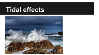 Tidal effects
 