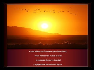 Y mas allá de las fronteras que vives ahora,  verás florecer de nuevo tu vida levantarse de nuevo tu árbol y agigantarse de nuevo tu figura.  