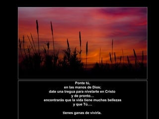 Ponte tú, en las manos de Dios;  date una tregua para nivelarte en Cristo  y de pronto… encontrarás que la vida tiene muchas bellezas  y que Tú…. tienes ganas de vivirla.  