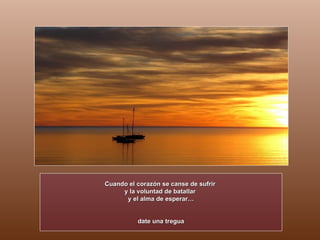 Cuando el corazón se canse de sufrir  y la voluntad de batallar  y el alma de esperar… date una tregua 