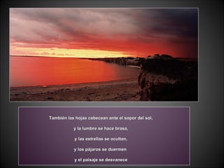 También las hojas cabecean ante el sopor del sol, y la lumbre se hace brasa, y las estrellas se ocultan,  y los pájaros se duermen  y el paisaje se desvanece 