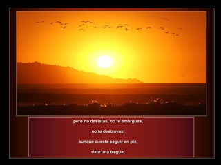pero no desistas, no te amargues,  no te destruyas;  aunque cueste seguir en pie,  date una tregua;  