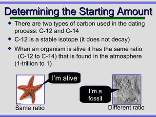 Determining the Starting Amount There are two types of carbon used in the dating process: C-12 and C-14 C-12 is a stable isotope (it does not decay) When an organism is alive it has the same ratio  (C-12 to C-14) that is found in the atmosphere (1-trillion to 1) Same ratio I’m alive Different ratio I’m a fossil 