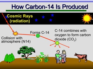 How Carbon-14 Is Produced Cosmic Rays (radiation) Collision with atmosphere (N14) Forms C-14 C-14 combines with oxygen to form carbon dioxide (CO 2 ) 