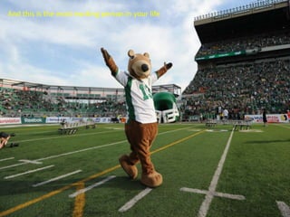 And this is the most exciting person in your life