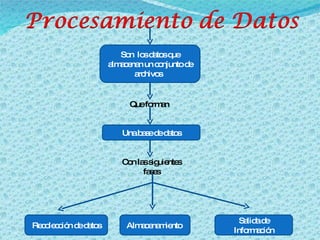 Son  los datos que almacenan un conjunto de archivos  Que forman  Una base de datos Con las siguientes fases Recolección de datos Almacenamiento  Salida de Información 