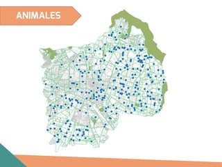ANIMALES
 