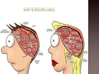 Diferencias