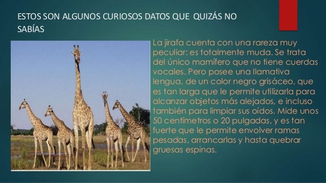 Imagenes Interesantes De La Naturaleza | datos curiosos de la naturaleza Imagenes Interesantes De La Naturaleza | datos curiosos de la naturaleza