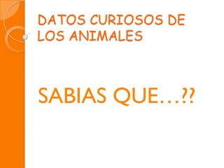 DATOS CURIOSOS DE
LOS ANIMALES



SABIAS QUE…??
 