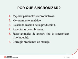 POR QUE SINCRONIZAR? ,[object Object],[object Object],[object Object],[object Object],[object Object],[object Object],11/16/11 