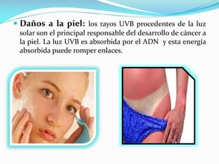  Daños a la piel: los rayos UVB procedentes de la luz
solar son el principal responsable del desarrollo de cáncer a
la piel. La luz UVB es absorbida por el ADN y esta energía
absorbida puede romper enlaces.

 