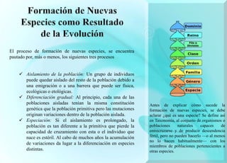 Antes de explicar cómo sucede la
formación de nuevas especies, se debe
aclarar ¿qué es una especie? Se define así
en Taxonomía, al conjunto de organismos o
poblaciones naturales capaces de
entrecruzarse y de producir descendencia
fértil, pero no pueden hacerlo —o al menos
no lo hacen habitualmente— con los
miembros de poblaciones pertenecientes a
otras especies.
El proceso de formación de nuevas especies, se encuentra
pautado por, más o menos, los siguientes tres procesos
 Aislamiento de la población: Un grupo de individuos
puede quedar aislado del resto de la población debido a
una emigración o a una barrera que puede ser física,
ecológicas o etológicas.
 Diferenciación gradual: Al principio, cada una de las
poblaciones aisladas tenían la misma constitución
genética que la población primitiva pero las mutaciones
originan variaciones dentro de la población aislada.
 Especiación: Si el aislamiento es prolongado, la
población es tan diferente a la primitiva que pierde la
capacidad de cruzamiento con esta o el individuo que
nace es estéril. Al cabo de muchos años la acumulación
de variaciones da lugar a la diferenciación en especies
distintas.
 