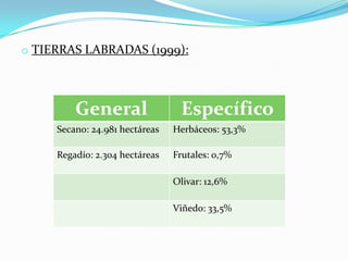 o TIERRAS LABRADAS (1999):
General Específico
Secano: 24.981 hectáreas Herbáceos: 53,3%
Regadío: 2.304 hectáreas Frutales: 0,7%
Olivar: 12,6%
Viñedo: 33,5%
 