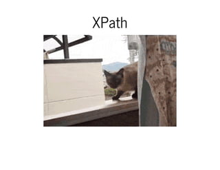 XPath
 