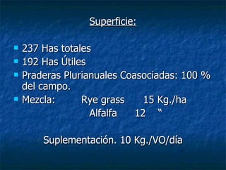 Superficie: 237 Has totales 192 Has Útiles Praderas Plurianuales Coasociadas: 100 % del campo. Mezcla: Rye grass 15 Kg./ha Alfalfa 12 “ Suplementación. 10 Kg./VO/día