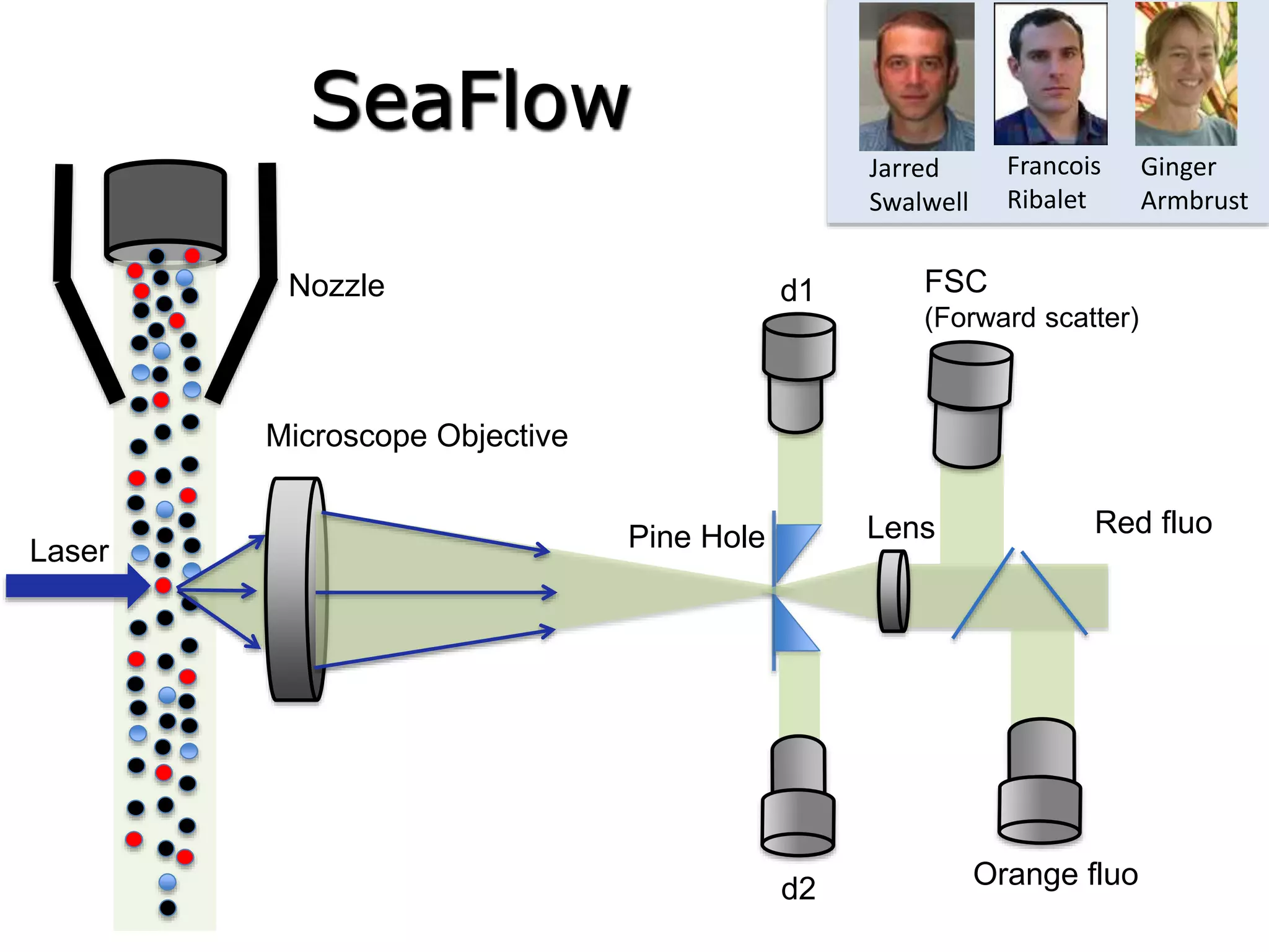 Laser
Microscope Objective
Pine Hole Lens
Nozzle d1
d2
FSC
(Forward scatter)
Orange fluo
Red fluo
SeaFlow
Francois
Ribalet
Jarred
Swalwell
Ginger
Armbrust
 