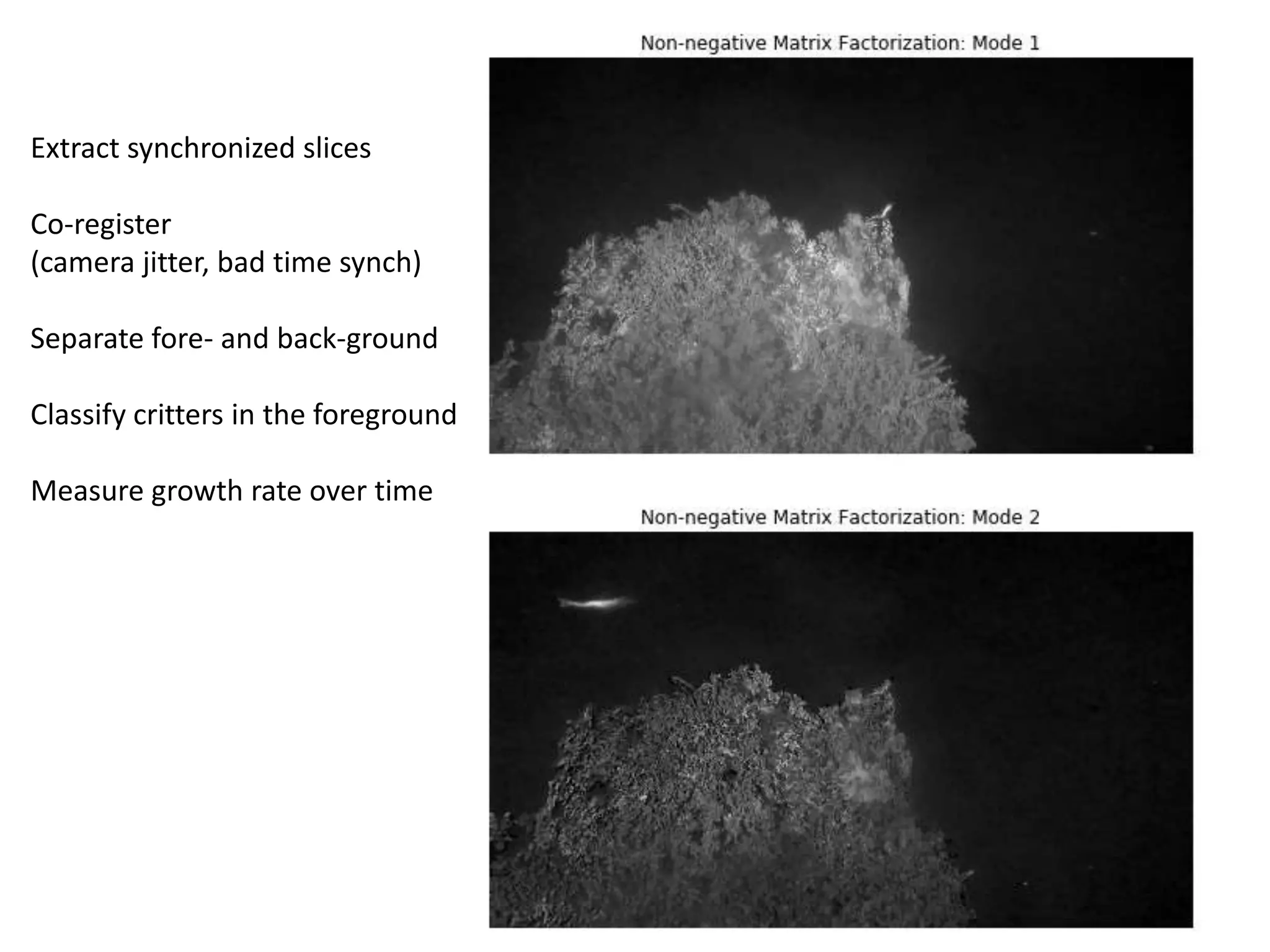Extract synchronized slices
Co-register
(camera jitter, bad time synch)
Separate fore- and back-ground
Classify critters in the foreground
Measure growth rate over time
 