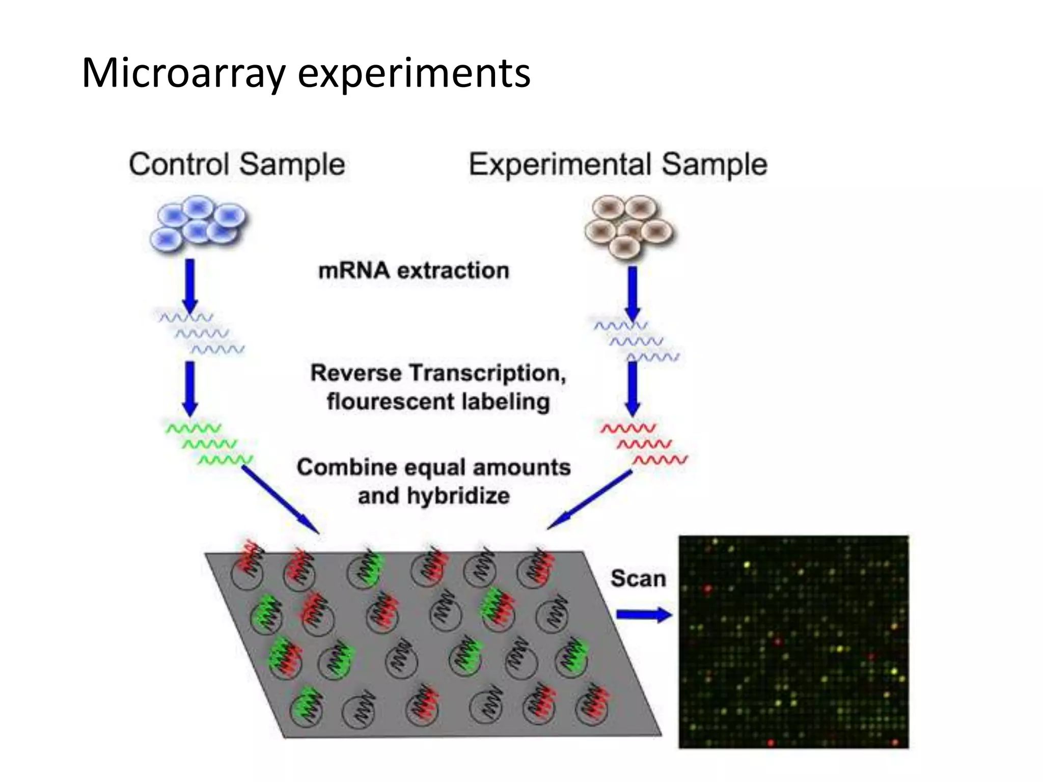 Microarray experiments
 