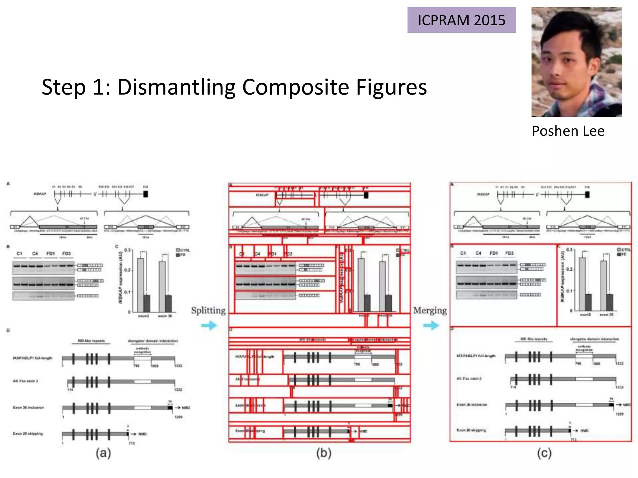 Step 1: Dismantling Composite Figures
Poshen Lee
ICPRAM 2015
 