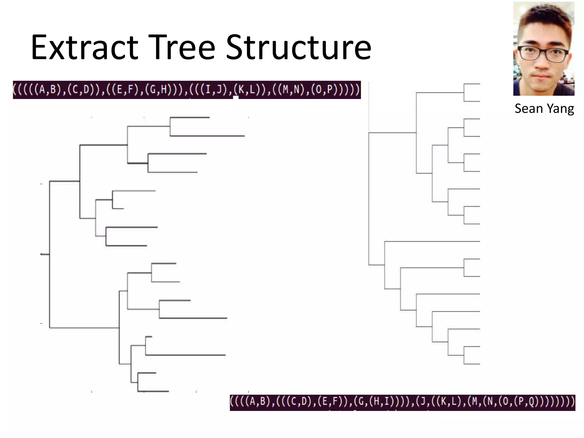 Extract Tree Structure
Sean Yang
 