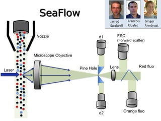 Laser
Microscope Objective
Pine Hole Lens
Nozzle d1
d2
FSC
(Forward scatter)
Orange fluo
Red fluo
SeaFlow
Francois
Ribalet
Jarred
Swalwell
Ginger
Armbrust
 