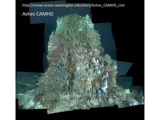 Ashes CAMHD
http://novae.ocean.washington.edu/story/Ashes_CAMHD_Live
 