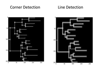 Corner Detection Line Detection
 