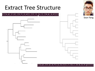 Extract Tree Structure
Sean Yang
 