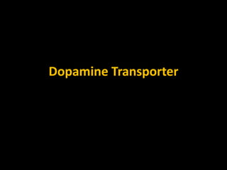 Dopamine Transporter
 