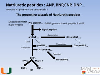 Newer biomarkers in heart failure | PPTX