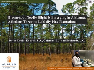 Brown-spot Needle Blight is Emerging in Alabama:
A Serious Threat to Loblolly Pine Plantations
Datta, Debit., Enebak, S.A., Coleman, J.J. and Eckhardt, L.G.
Forest Health Dynamics Laboratory
School of Forestry and Wildlife Sciences, Auburn University
 