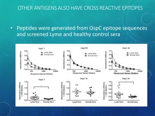OTHER ANTIGENS ALSO HAVE CROSS REACTIVE EPITOPES
• Peptides were generated from OspC epitope sequences
and screened Lyme and healthy control sera
 