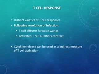 T CELL RESPONSE
• Distinct kinetics of T cell responses
• Following resolution of infection:
• T cell effector function wanes
• Activated T cell numbers contract
• Cytokine release can be used as a indirect measure
of T cell activation
 