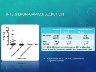INTERFERON-GAMMA SECRETION
• IFNγ was detected in 3.1% (6 of 192) healthy and
Anaplasmosis controls
Acute Convalescent
(2 mo.)
Convalaescent
(6 mo.)
Positivea
20/29
(69.0%)
IFNγ
(IU/ml)
1.46 ±
2.26
4/27
(15.3%)
1/5
(20.0%)
0.27 ±
0.59
0.13 ±
0.19
a- >3 SD (0.33 IU/ml) from the mean of IFNγ produced in
blood of healthy volunteers (n=187) and Anaplasmosis (n=5).
 