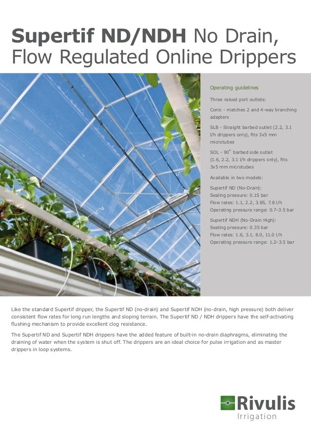 Dau tuoi nho giot co bu ap rivulis supertif israel greenhouse