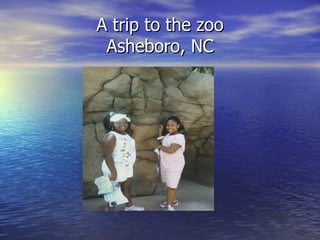 A trip to the zoo
 Asheboro, NC
 