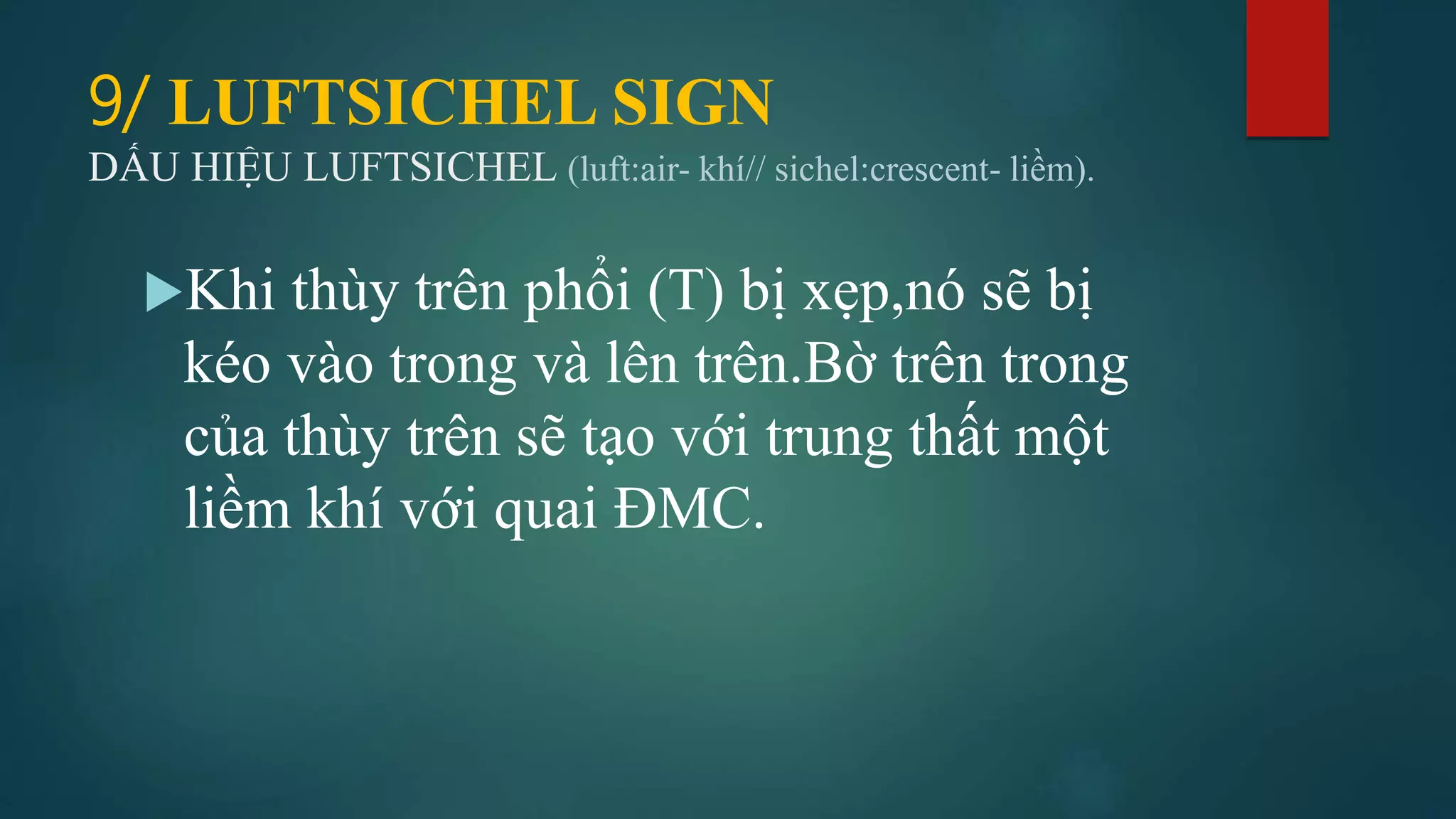 Dau hieu x quang ngực (signsinchestxray) | PDF