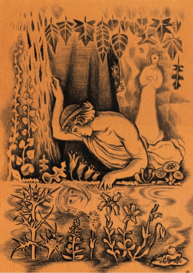 D'aulaires' Book of Greek Myths