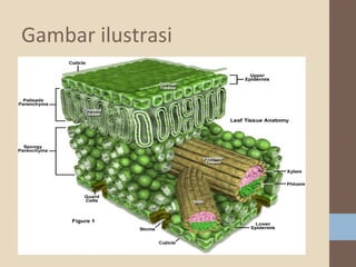 Gambar ilustrasi

 