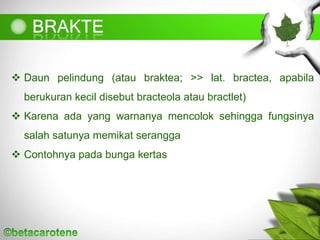  Daun pelindung (atau braktea; >> lat. bractea, apabila
berukuran kecil disebut bracteola atau bractlet)
 Karena ada yang warnanya mencolok sehingga fungsinya
salah satunya memikat serangga
 Contohnya pada bunga kertas
 