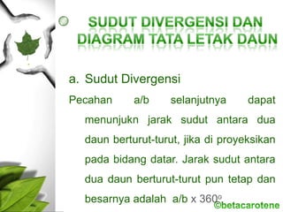 a. Sudut Divergensi
Pecahan a/b selanjutnya dapat
menunjukn jarak sudut antara dua
daun berturut-turut, jika di proyeksikan
pada bidang datar. Jarak sudut antara
dua daun berturut-turut pun tetap dan
besarnya adalah a/b x 360o
 