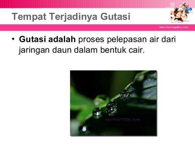 DAUN TUMBUHAN BIOLOGI MISA VLKRN